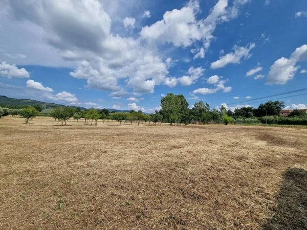 terreno agricolo in vendita a Larciano in zona Castelmartini