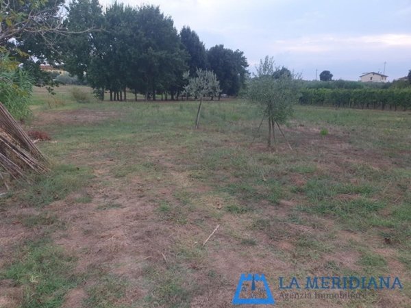 terreno agricolo in vendita a Larciano
