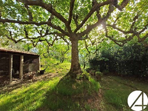 appartamento in vendita a Larciano in zona Cecina