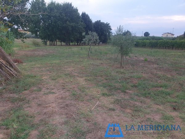 terreno agricolo in vendita a Larciano