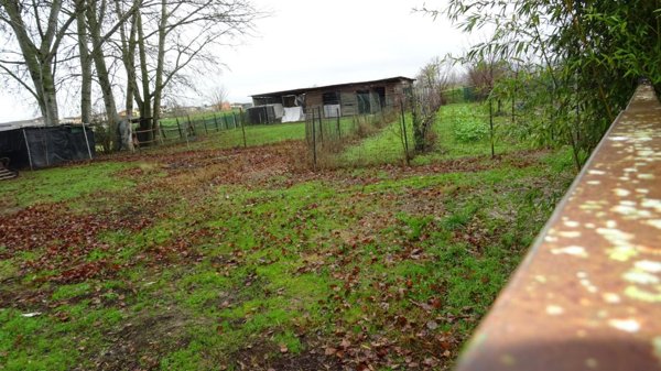 terreno agricolo in vendita a Larciano in zona Biccimurri