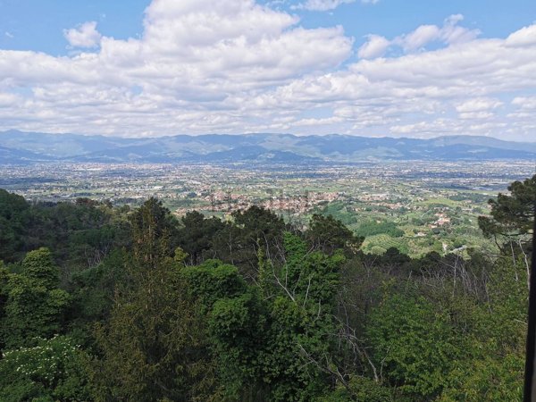 casa indipendente in vendita a Larciano in zona Cecina