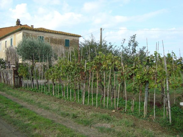 casa indipendente in vendita a Larciano in zona San Rocco di Larciano