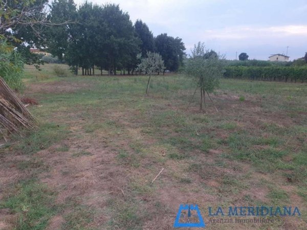 terreno in vendita a Larciano