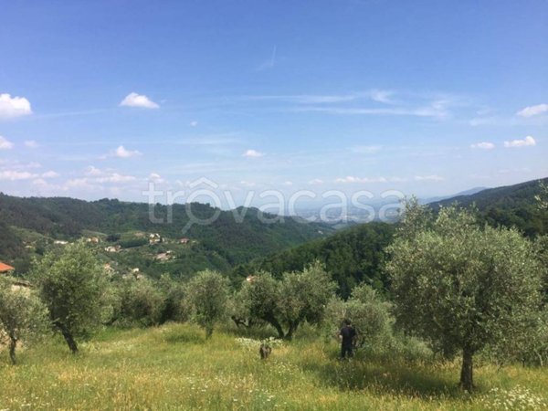terreno edificabile in vendita a Marliana in zona Montagnana