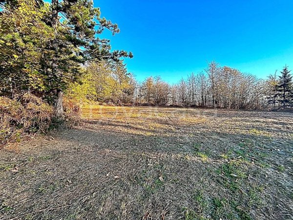 terreno agricolo in vendita a Marliana in zona Femminamorta