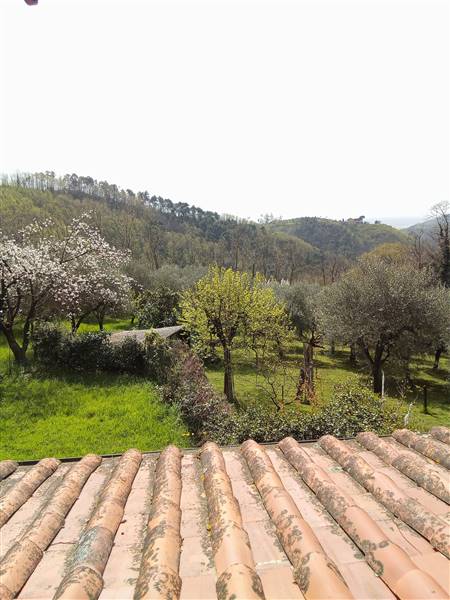 casa indipendente in vendita a Marliana
