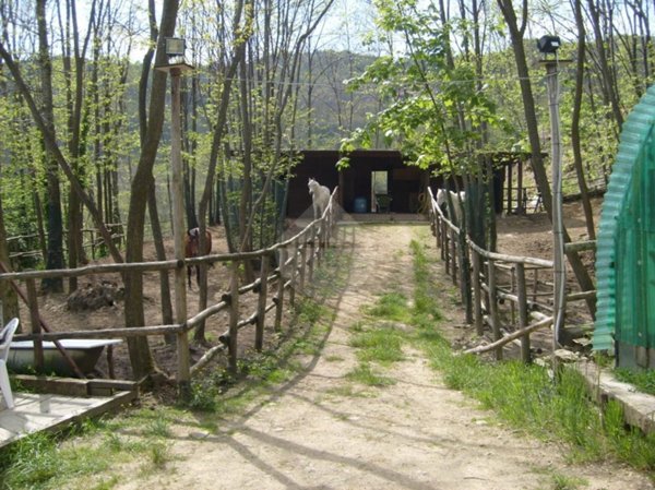 terreno agricolo in vendita a Marliana in zona Fagno