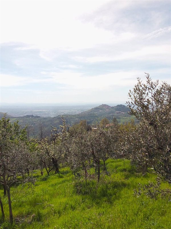 casa indipendente in vendita a Marliana
