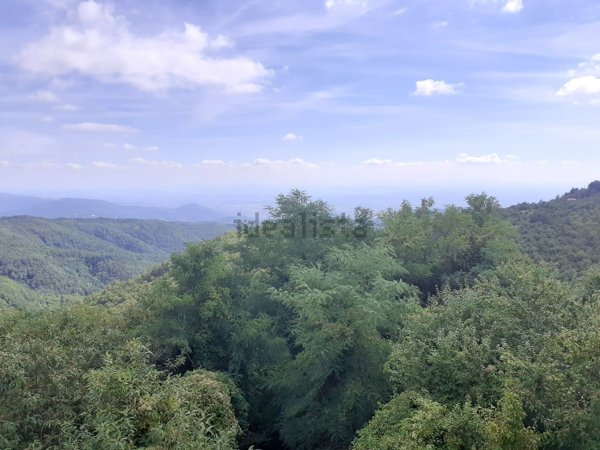 casa indipendente in vendita a Marliana