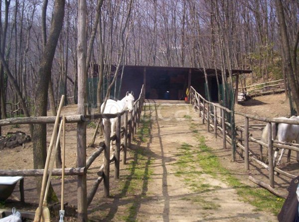 terreno agricolo in vendita a Marliana in zona Momigno