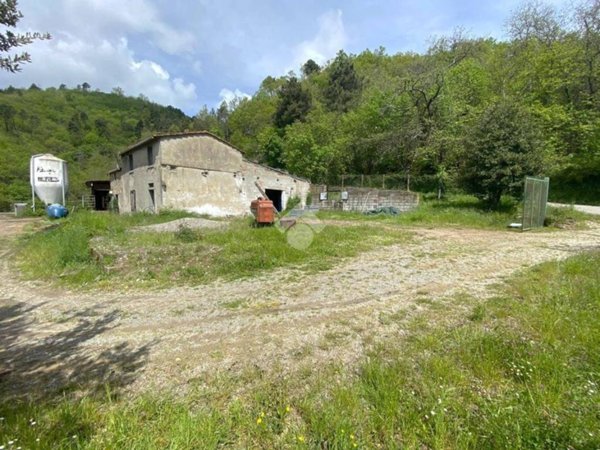 terreno agricolo in vendita a Marliana in zona Avaglio