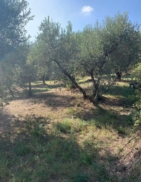 appartamento in vendita a Marliana