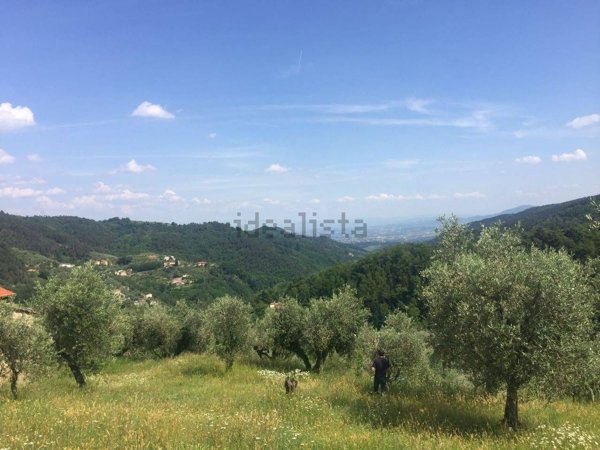 terreno edificabile in vendita a Marliana in zona Montagnana