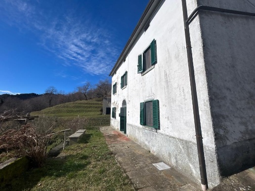 casa indipendente in vendita a Marliana in zona Momigno