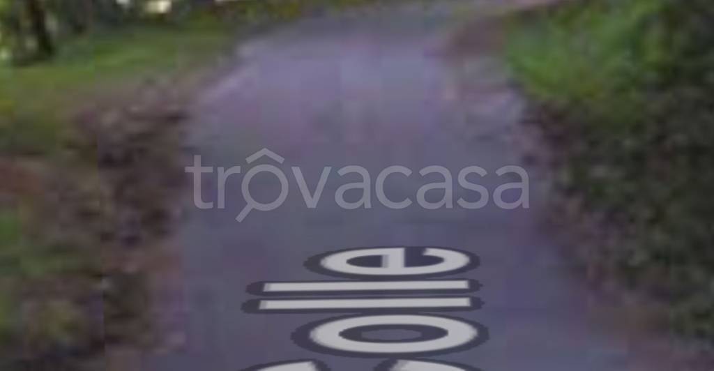 terreno agricolo in vendita a Marliana