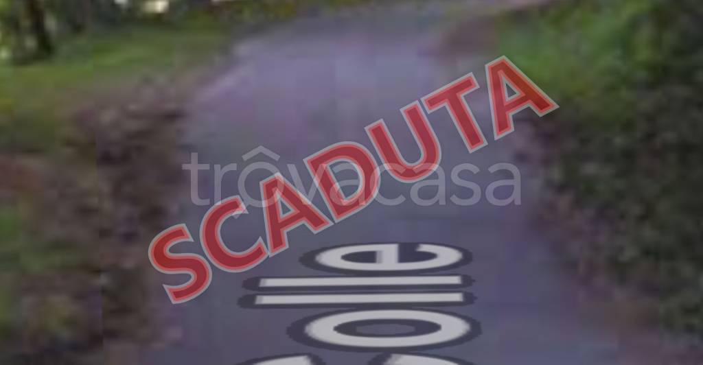 terreno agricolo in vendita a Marliana in zona Panicagliora