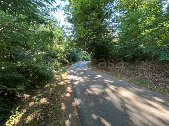 terreno agricolo in vendita a Marliana in zona Momigno