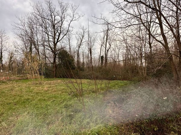 terreno agricolo in vendita a Massa e Cozzile in zona Margine Coperta