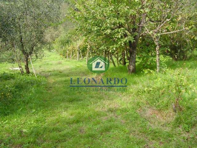 terreno edificabile in vendita a Massa e Cozzile in zona Margine Coperta
