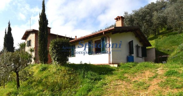 casa indipendente in vendita a Massa e Cozzile in zona Cozzile