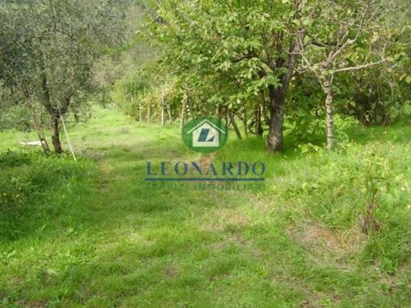 appartamento in vendita a Massa e Cozzile in zona Margine Coperta