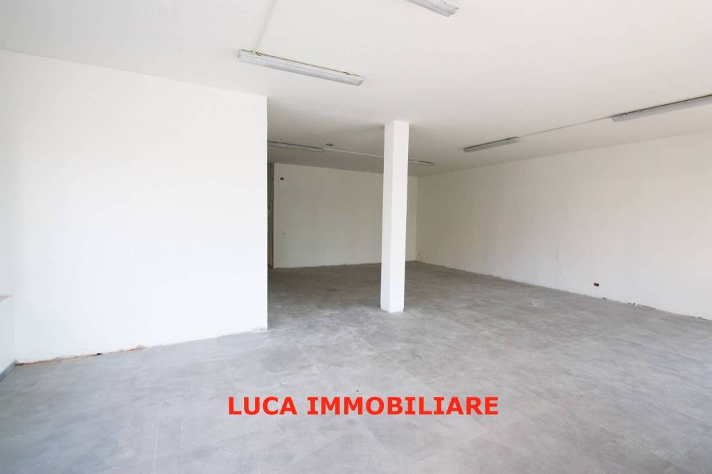 appartamento in vendita a Massa e Cozzile