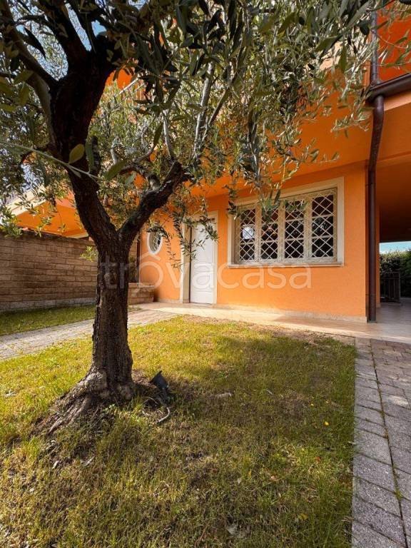casa indipendente in vendita a Massa e Cozzile in zona Cozzile