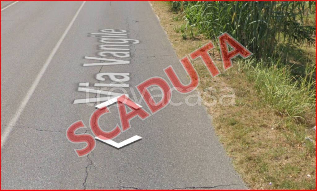 terreno agricolo in vendita a Massa e Cozzile in zona Cozzile