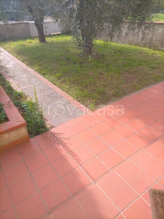 casa indipendente in vendita a Massa e Cozzile