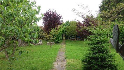 casa indipendente in vendita a Massa e Cozzile in zona Traversagna