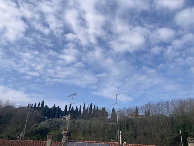 appartamento in vendita a Massa e Cozzile in zona Margine Coperta