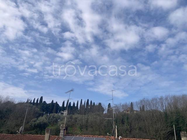 appartamento in vendita a Massa e Cozzile in zona Cozzile