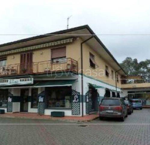 negozio in vendita a Massa e Cozzile