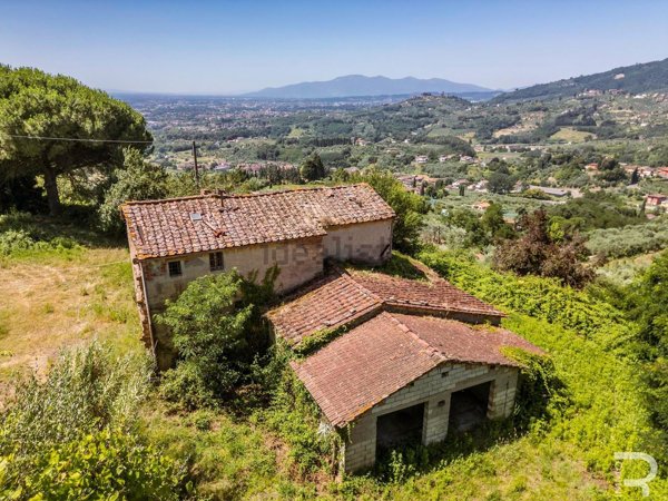 esavano in vendita a Massa e Cozzile in zona Croci