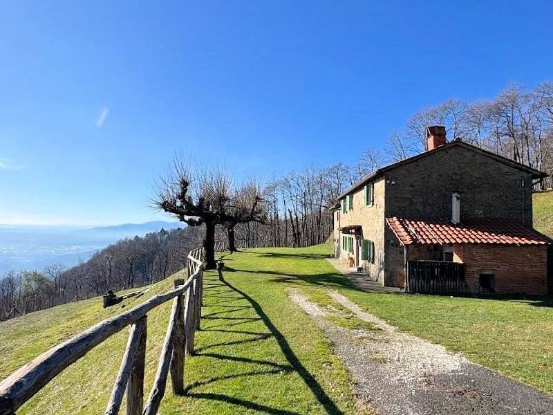 immagine annuncio 0 di 1