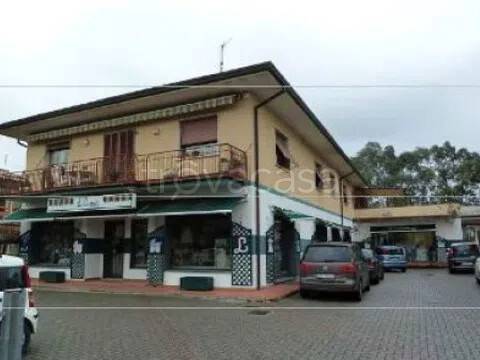 ufficio in vendita a Massa e Cozzile in zona Margine Coperta