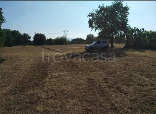 terreno agricolo in vendita a Monsummano Terme in zona Cintolese