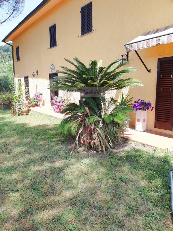 casa indipendente in vendita a Monsummano Terme in zona Montevettolini