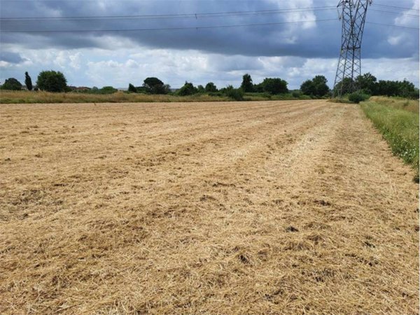 terreno agricolo in vendita a Monsummano Terme in zona Violi
