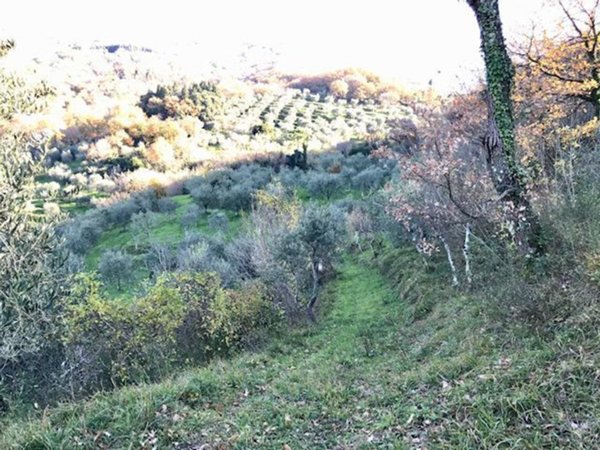 casa indipendente in vendita a Monsummano Terme in zona Monsummano Alto