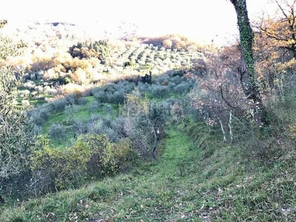 casa indipendente in vendita a Monsummano Terme in zona Monsummano Alto