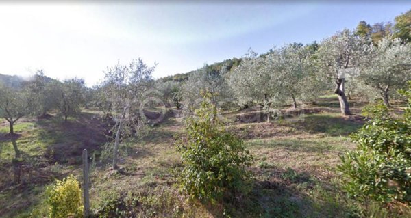 rudere in vendita a Monsummano Terme in zona Monsummano Alto