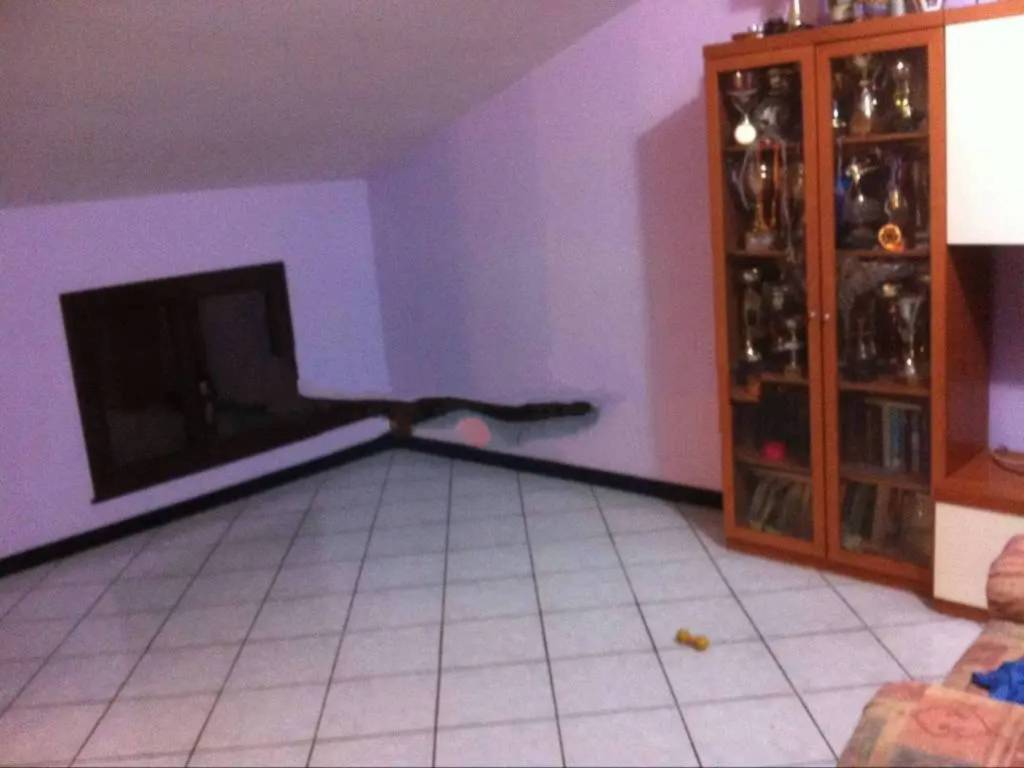 appartamento in vendita a Monsummano Terme