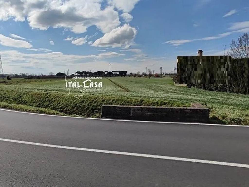 terreno agricolo in vendita a Monsummano Terme