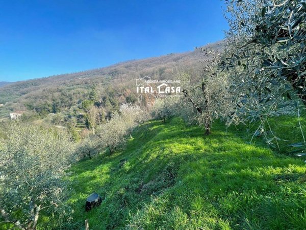 terreno agricolo in vendita a Monsummano Terme