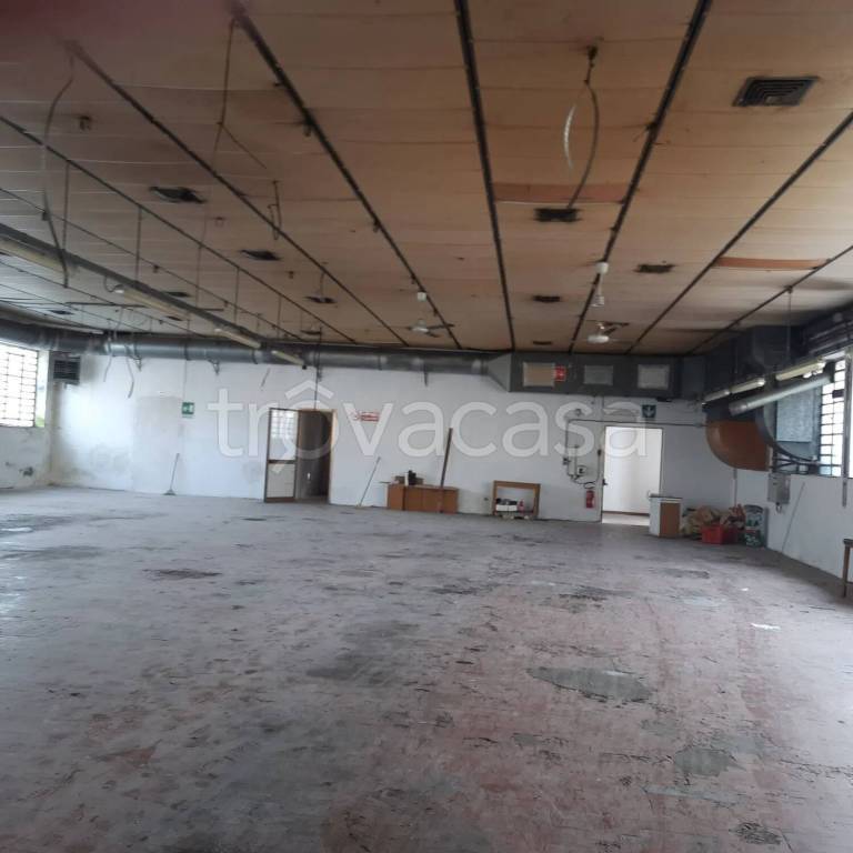 appartamento in vendita a Monsummano Terme
