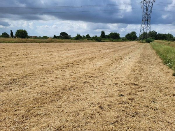 terreno agricolo in vendita a Monsummano Terme in zona Violi