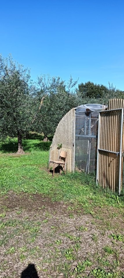 terreno agricolo in vendita a Monsummano Terme in zona Grotta Giusti