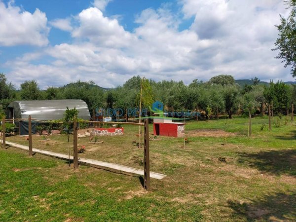 terreno agricolo in vendita a Monsummano Terme in zona Grotta Parlanti